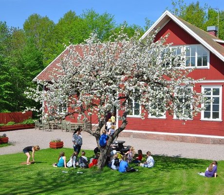 bild på skolbyggnaden med blommande äppelträd i förgrunden